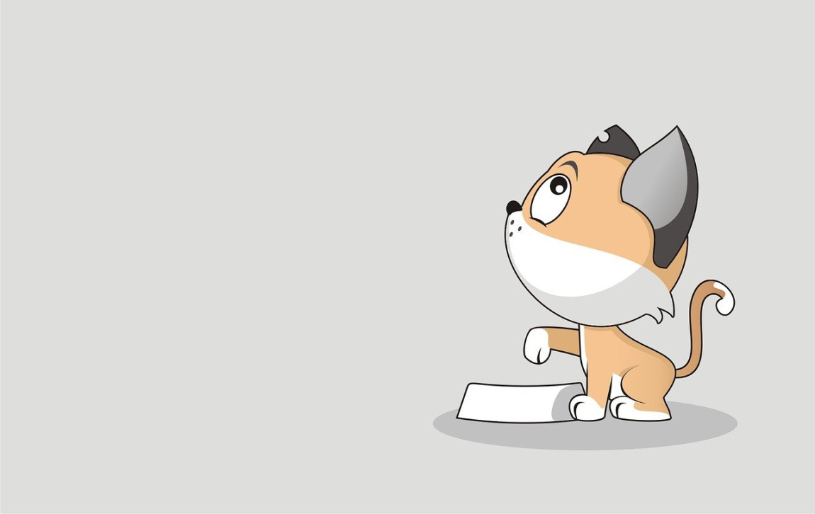 Obrazek wpisu Najczęstsze błędy w żywieniu kotów i jak ich unikać ?