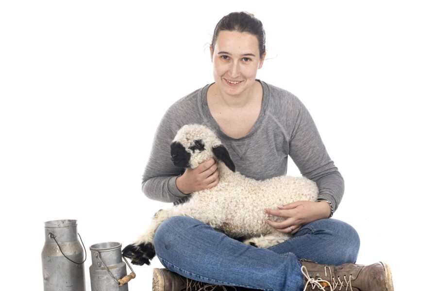 Adragna Breeder Daily z kurczakiem dla psów dorosłych 20kg jako codzienna dawka energii